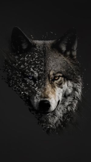 Wallpaper