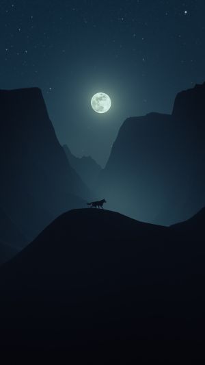 Wallpaper