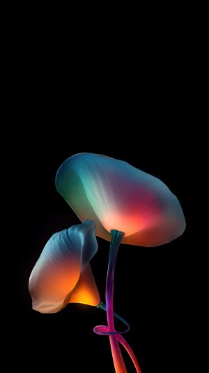 Wallpaper