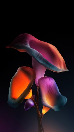 Wallpaper