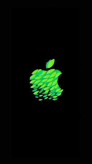 Wallpaper