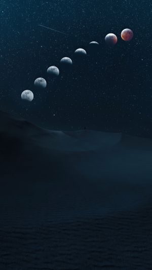 Wallpaper