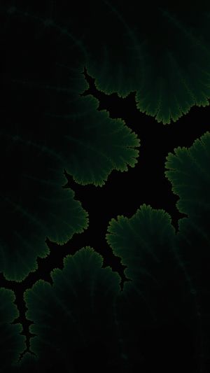 Wallpaper