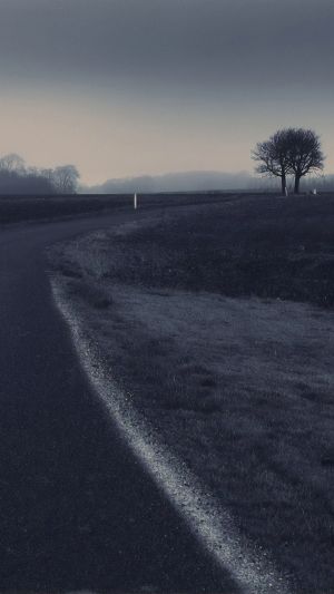 Wallpaper