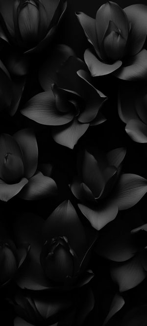 Wallpaper