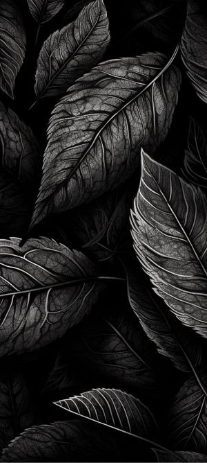 Wallpaper