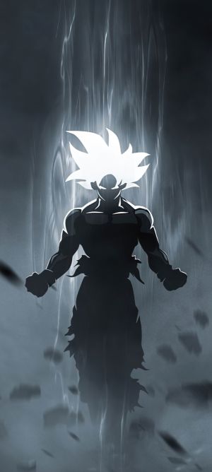 Wallpaper