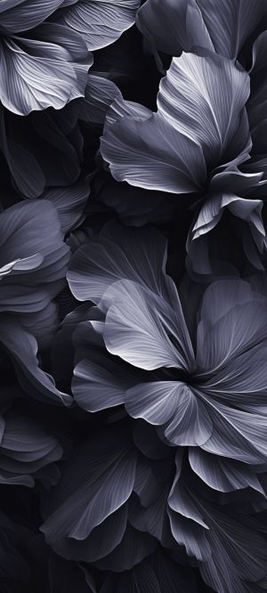 Wallpaper