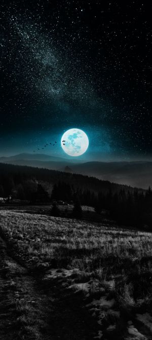 Wallpaper