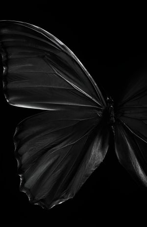 Wallpaper